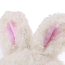 Singing Dancing Toy - Lovely Rabbit - Electric Plush Toy Animal Figure Toy - Plush Doll Toy for Girls and Boys