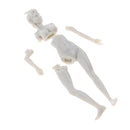1:35 Mini Resin Figure Model Kit Miniature Beautiful Girl in Bikini Swimwear