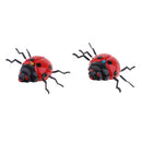 Baby Animals Education Pull String Walking Ladybird Toys Enlightenment Toys