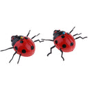 Baby Animals Education Pull String Walking Ladybird Toys Enlightenment Toys