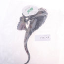 Plastic High Simulation Dinosaur Model Toy Static Action Figures Decoration