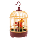 Sound Activated Chirping Bird Pet Toy in Cage - Realistic Sounds & Movements