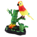Simulation Bird Parrot Beautiful Sounding Battery Powered Toy Home Ornaments