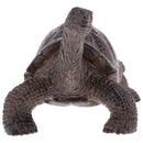 Lifelike Elephant Tortoise Model, Wild Animal Figurine, Kids Toy Desktop Ornaments
