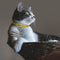 Dog Collar Eliminating Flea Pet Dog Cat Anti Lice Plague Mosquito Insect Prevents Removing Oil Flea Repellent From Xiaomi Youpin