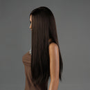 NAWOMI Long Straight 100% Kanekalon Synthetic Wig Capless Dark Brown Smooth Middle Bang