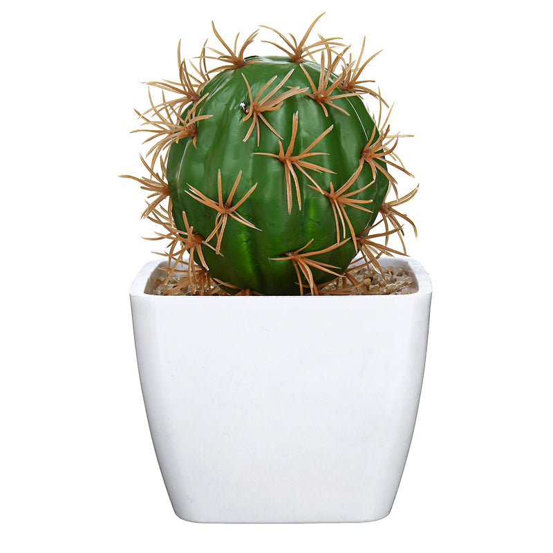 Simulating Cactus Bonsai and Simulating Creative Car Ornaments of Mock Succulents Plants