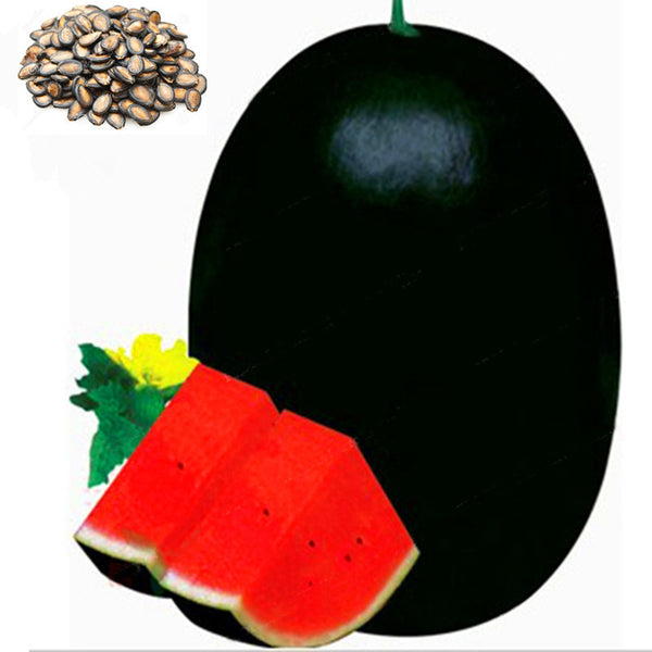 Egrow 30 Pcs/Pack Watermelon Seeds Giant Black Watermelon Bonsai Fruit Plant Sweet Juicy Water Melon Home Garden Bonsai