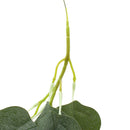 70" Artificial Eucalyptus Garland Faux Silk Vines Leave Leaf Green Wedding Decor Supplies