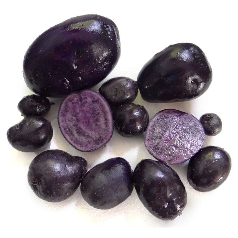 Egrow 100Pcs/Pack Purple Sweet Potato Seeds Nutrition Green Vegetable Bonsai Farm Plants