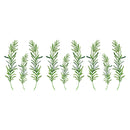 Miico FX64043 Grass Wall Stickers Kindergarten Children's Room Decoration Stickers DIY Sticker