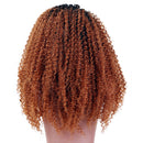 24inch Ombre Shaggy Afro African Wavy Curly Wigs Synthetic Lace Front Wig