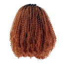 24inch Ombre Shaggy Afro African Wavy Curly Wigs Synthetic Lace Front Wig