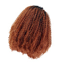 24inch Ombre Shaggy Afro African Wavy Curly Wigs Synthetic Lace Front Wig