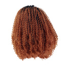 24inch Ombre Shaggy Afro African Wavy Curly Wigs Synthetic Lace Front Wig
