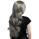 Ladies Women 24 Inches Long Natural Curly Thick Wavy Heat Resistant Synthetic Hair Wigs with Cap Silver Gray