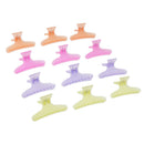 12 Pcs Butterfly Plastic Hair Claw Salon Hairdressing Hairdressers Styling Clips Clamp Multicolored Set Kit