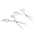 Professional 6.0'' Silver Hair Cutting Shears/Scissors and Barber Thinning/Texturizing Set with Black Storage Case