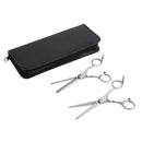 Professional 6.0'' Silver Hair Cutting Shears/Scissors and Barber Thinning/Texturizing Set with Black Storage Case