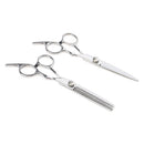 Professional 6.0'' Silver Hair Cutting Shears/Scissors and Barber Thinning/Texturizing Set with Black Storage Case