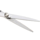 Professional 6.0'' Silver Hair Cutting Shears/Scissors and Barber Thinning/Texturizing Set with Black Storage Case