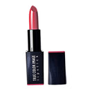 Fashionable Easy Apply Creamy Matte Velvet Long Lasting Lipstick Moisturizing Pigment Cream Lip Stick Women Lip Beauty Cosmetic Tool
