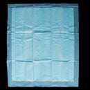10 Pieces Breathable Disposable Underpad Incontinence Pad Absorbent Sheet Protect