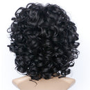 Natural African Wave Kinky Curly Wigs Black Women Synthetic Full Wigs 26"