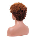 11 Inches Womens Short Curly Wavy Synthetic Hair Full Wigs With Cap Brown