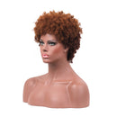 11 Inches Womens Short Curly Wavy Synthetic Hair Full Wigs With Cap Brown