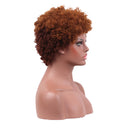 11 Inches Womens Short Curly Wavy Synthetic Hair Full Wigs With Cap Brown