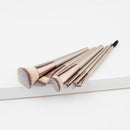 6pcs Luxury Eyeshadow Eyeliner Blush Powder Foundation Makeup Brush Set Champaign Gold