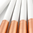 10 Pieces Natural Wood Professional Makeup Brushes Set Eyeshadow Foundation Blending Contour Flat Angled Fan Brush Tool Kit White Pink
