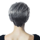 10'' Cool Hairstyling Short Synthetic Wigs Natural Fluffy Layered Cosplay Full Head Wig for Women Gray Black Root