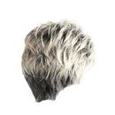 Women Ladies Fashion Fluffy Charming Short Straight Hair Wig Gradient Grey for Party Costume Cosplay/Daily Wear