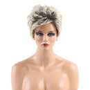 Women Ladies Fashion Fluffy Charming Short Straight Hair Wig Gradient Grey for Party Costume Cosplay/Daily Wear