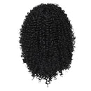 Women Long Kinky Afro Curly African American Synthetic Hair Wigs + Cap 18
