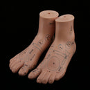 Lab Supplies Education Acupuncture Foot Reflex Zone Point Model Massage Study Teaching Sculpture