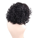 14" Elegant Women Short Fluffy Curly Synthetic Hair Wigs With Cap Black