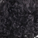 14" Elegant Women Short Fluffy Curly Synthetic Hair Wigs With Cap Black