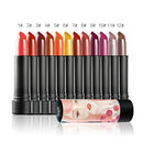 Lot 5 Pcs Cosmetic Set Liquid Foundation Double Head Eyeliner Eyebrow Pen Shimmer Lipstick Makeup Brushes Kit