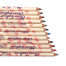 12 Packs Colorful Eyebrow Pencil Eyeliner Eyebrow Lip Liner Pencil Pen Makeup Cosmetic Set Kit Tool