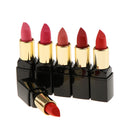 12 Colors Beauty Cosmetic Matte Lipstick Makeup Set Long Lasting Lip Stick
