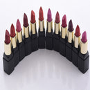 12 Colors Beauty Cosmetic Matte Lipstick Makeup Set Long Lasting Lip Stick