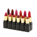 12 Colors Beauty Cosmetic Matte Lipstick Makeup Set Long Lasting Lip Stick