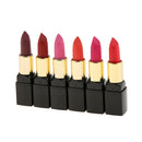 12 Colors Beauty Cosmetic Matte Lipstick Makeup Set Long Lasting Lip Stick