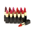 12 Colors Beauty Cosmetic Matte Lipstick Makeup Set Long Lasting Lip Stick