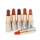 Fashion 12 Colors Matte Lipstick Lip Gloss Waterproof Makeup Cosmetic