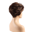 Women Synthetic Short Wavy Curly Hair Wig - Oblique Bangs Layered Hairpieces - Heat Safe - Cosplay, Party, Costume