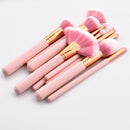10 Pieces Pro Eyeshadow Blush Powder Foundation Makeup Cosmetic Brushes Set